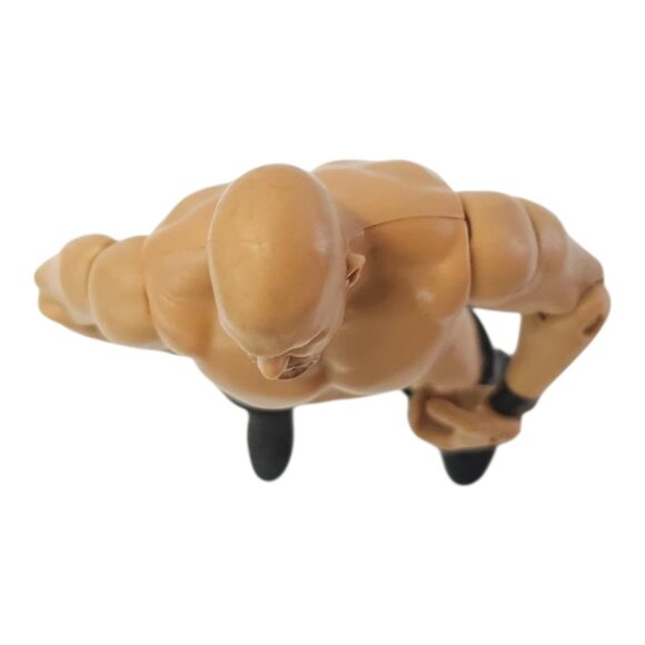 WWE Stone Cold Steve Austin Action Figure Wrestling 7" Wrestler 2011 Mattel - Picture 9 of 11